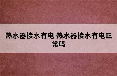 热水器接水有电 热水器接水有电正常吗